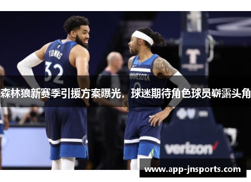 森林狼新赛季引援方案曝光,球迷期待角色球员崭露头角
